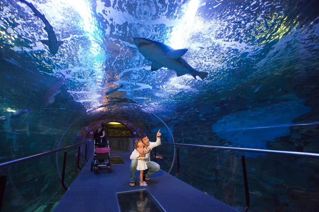 Aquarium Donostia - San Sebastián