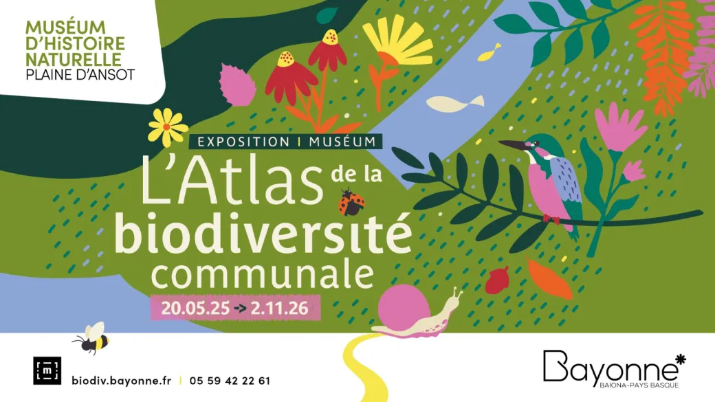 Exposition : L'atlas ... - Crédit: Ville de Bayonne museum d'histoire naturelle | CC BY-NC-ND 4.0