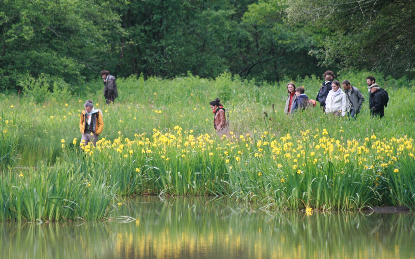Balade découverte des réserves : l'étang de Ch ...