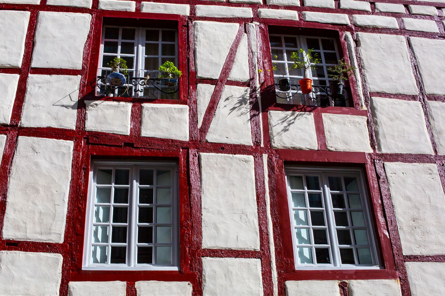 Ciap'Art : chasseur de façades