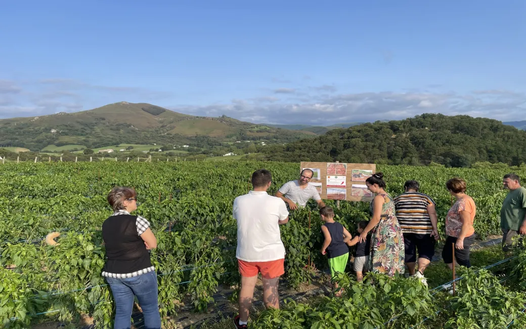 Visite d'une ferme fa ... - Crédit: @Okilaua | CC BY-NC-ND 4.0