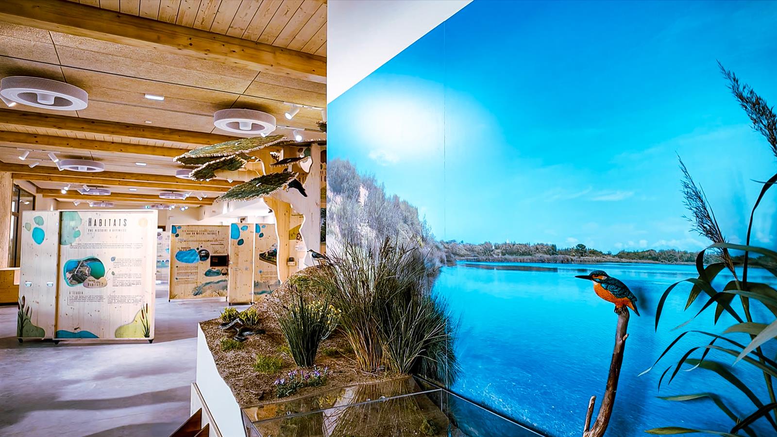 Visite commentée de l'exposition permanente