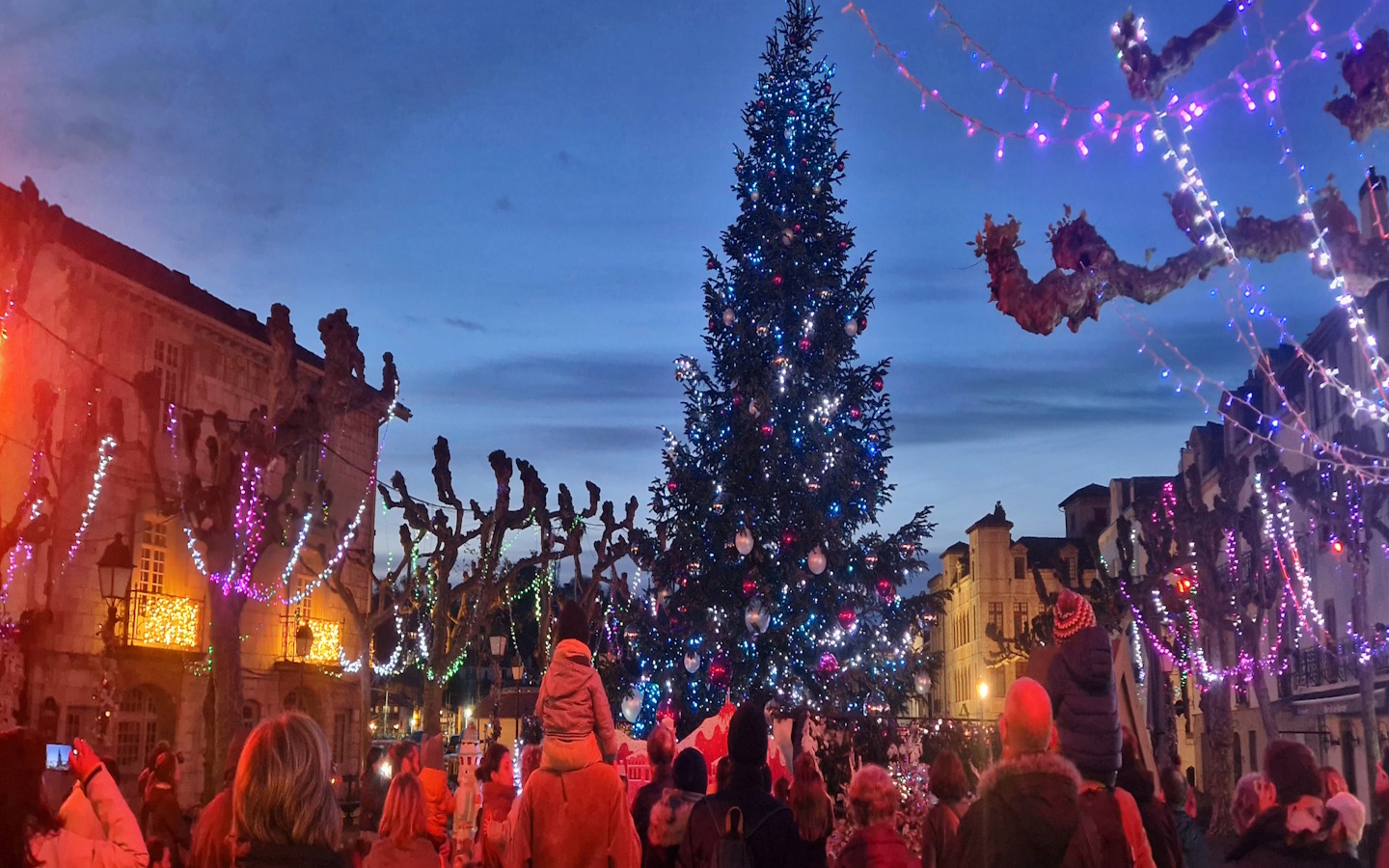 Le sapin féerique :“Un Noël gourmand et multic ...