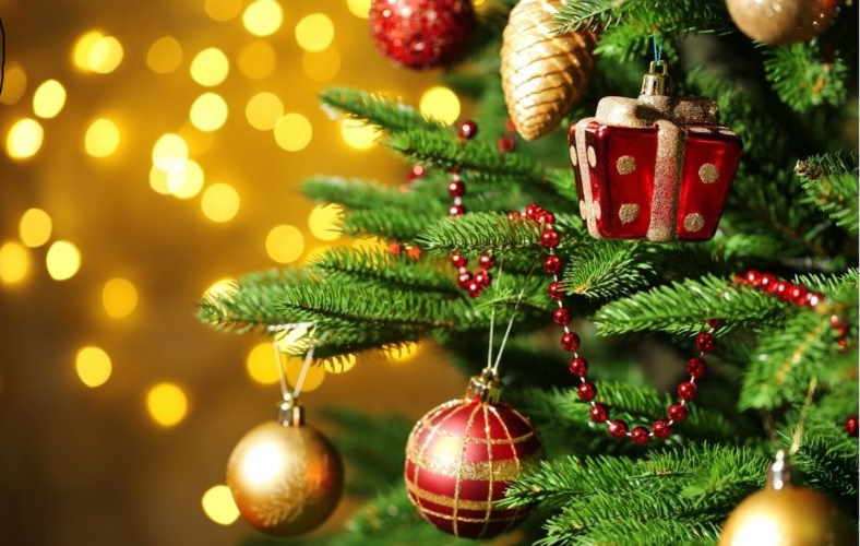 Quinzaine commerciale de Noël : photos avec le ...