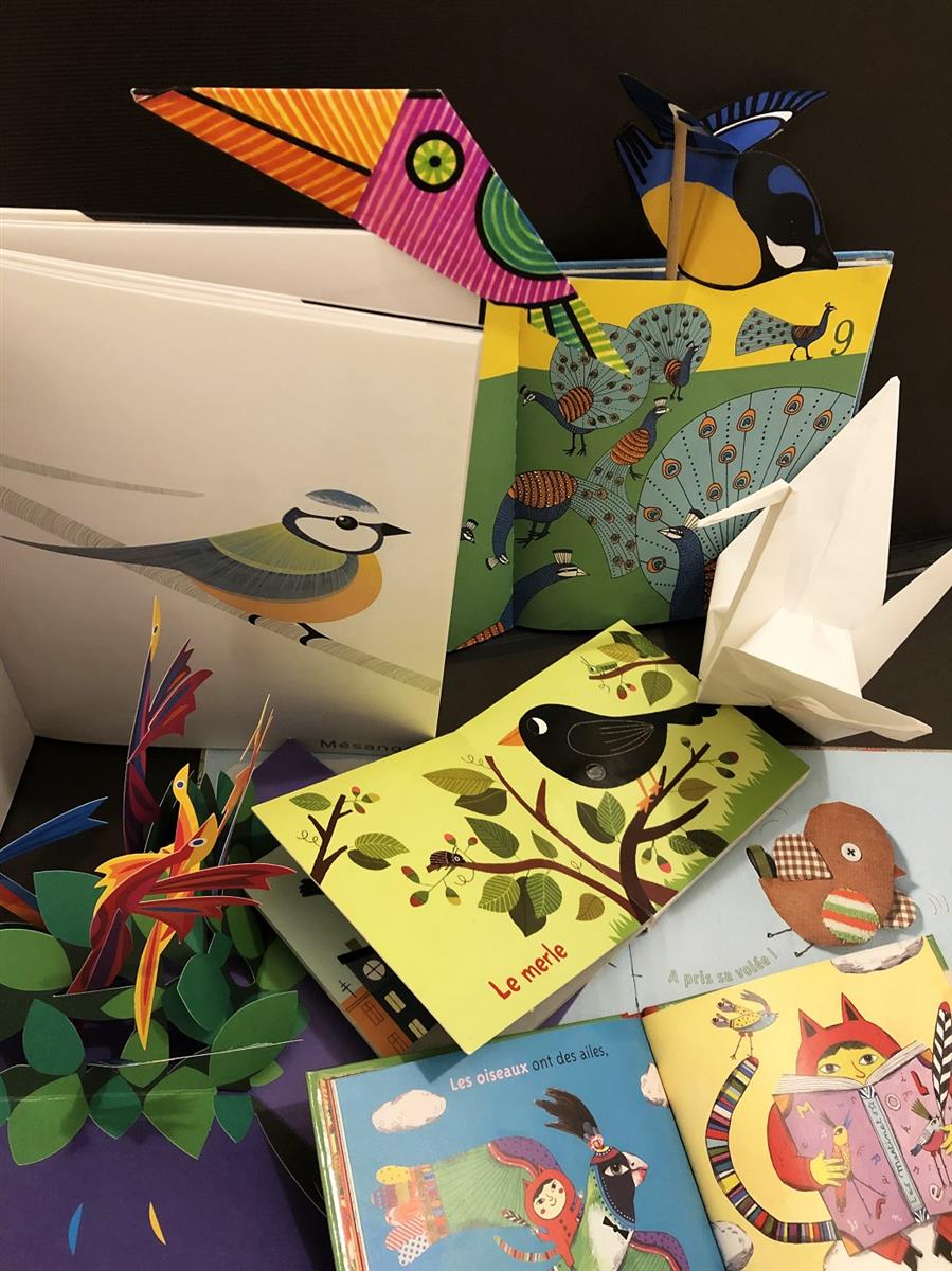 Ciné-conte "Portrait d’oiseaux"