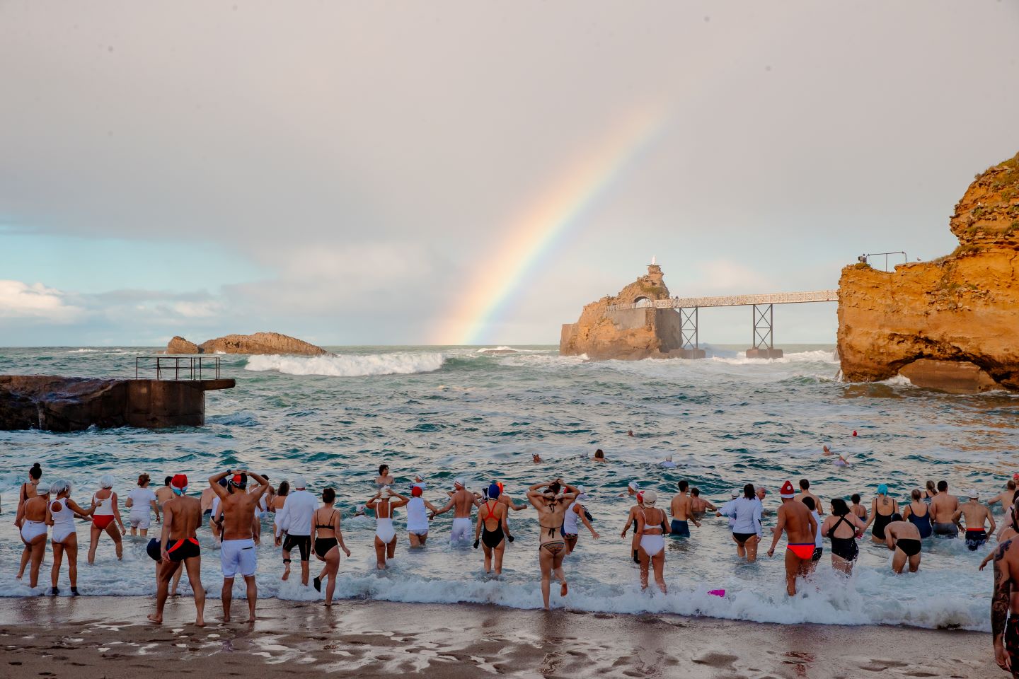 Noël avec les Ours Blancs
