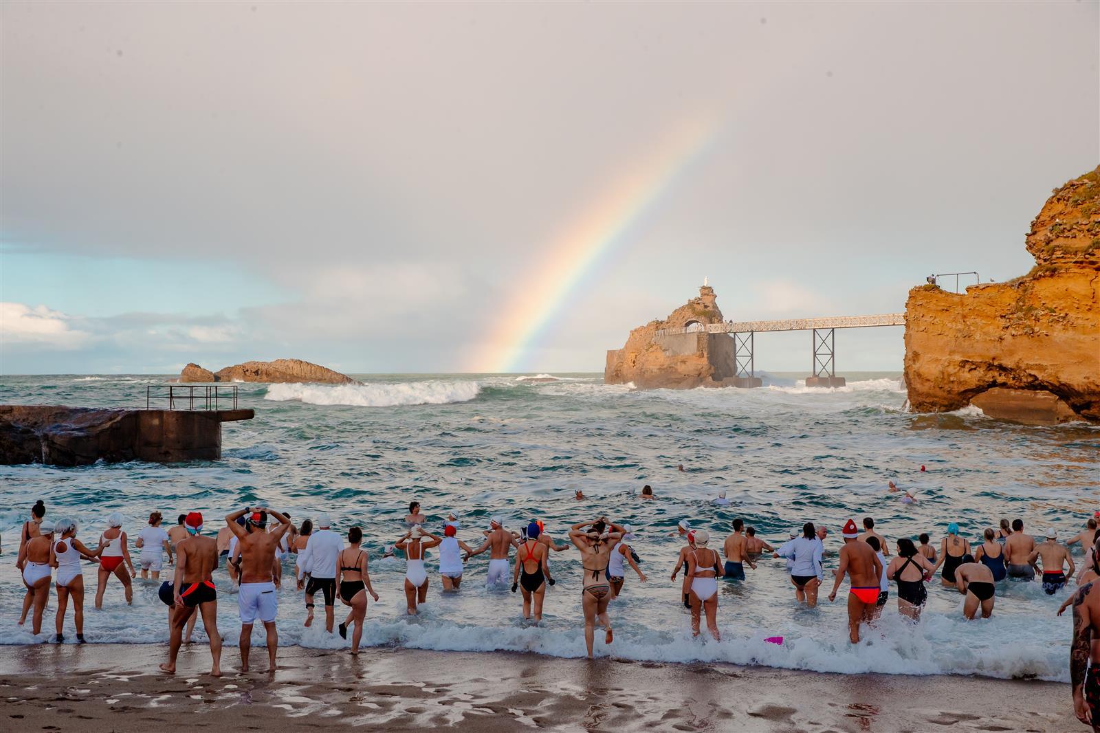 Noël avec les Ours Blancs