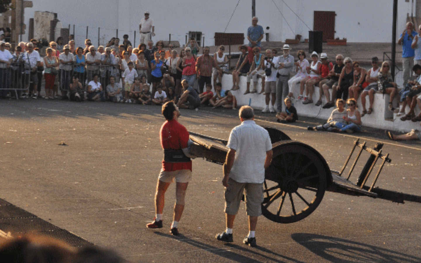 Spectacle force basque et démonstration Pottok