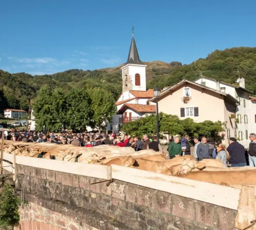 Portes ouvertes de la Vallée des Aldudes