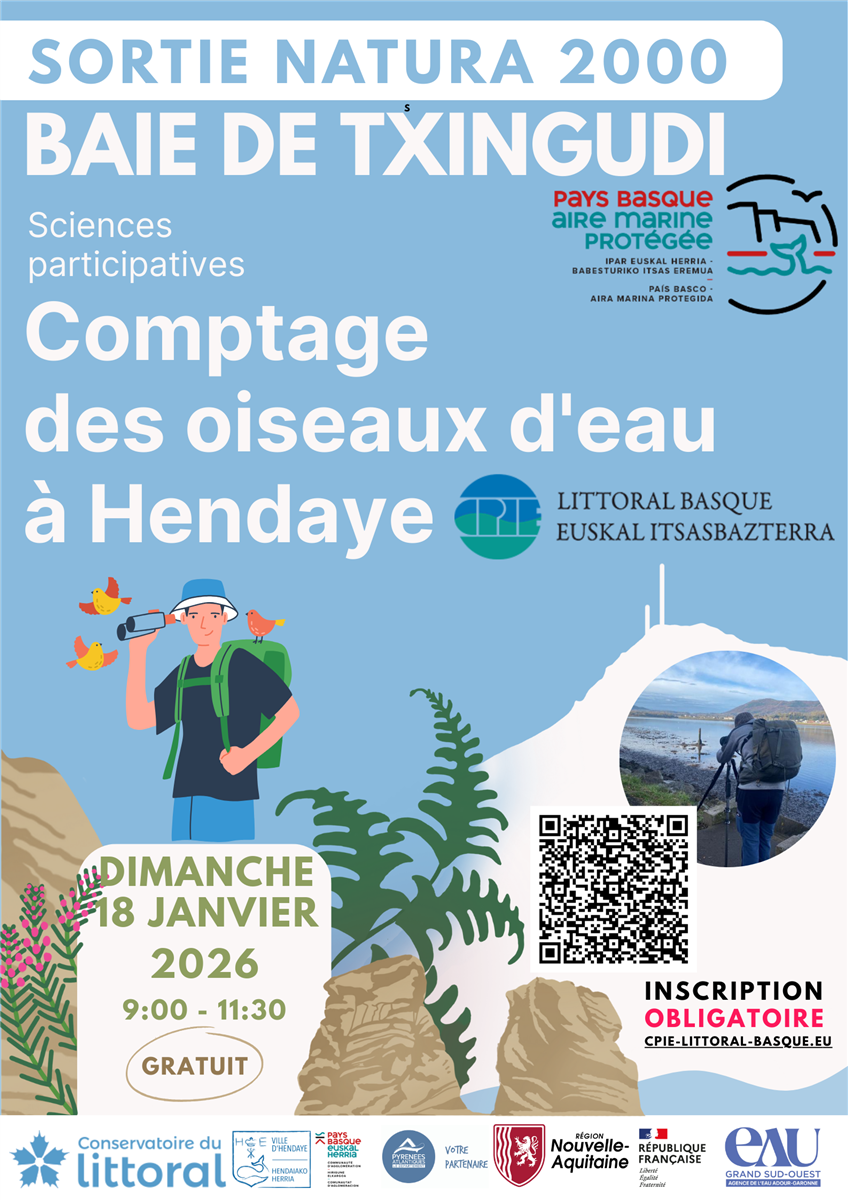 Comptage international des oiseaux d'eau