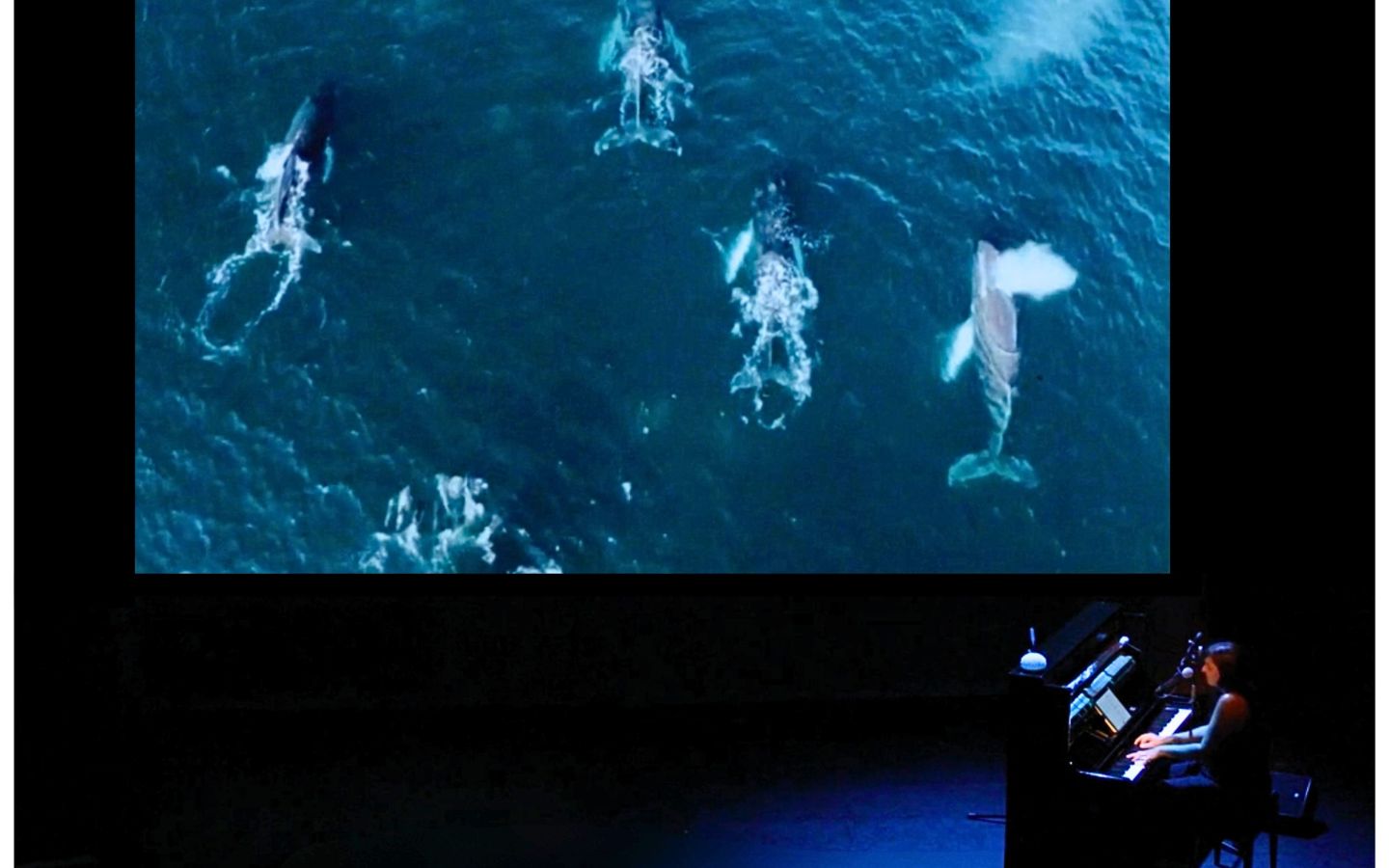 Alexandra Hernandez - Inouï Océan