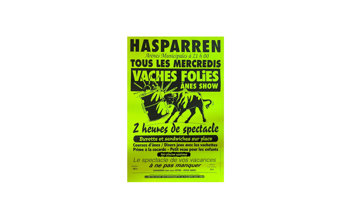 Course de vaches