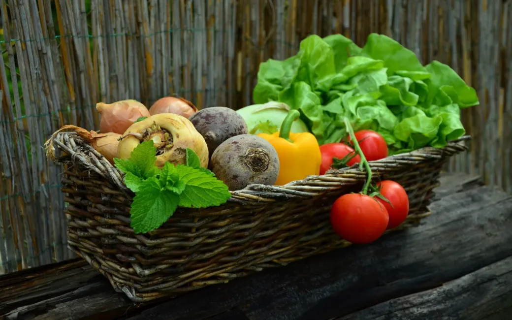 Marché de producteurs ... - Crédit: Pixabay | CC BY-NC-ND 4.0
