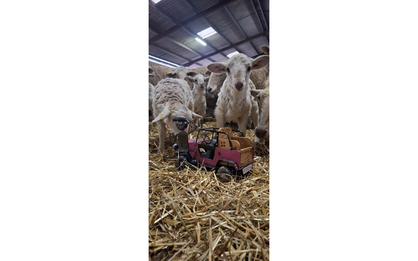 Randonnée gourmande en quadricycle électrique  ...