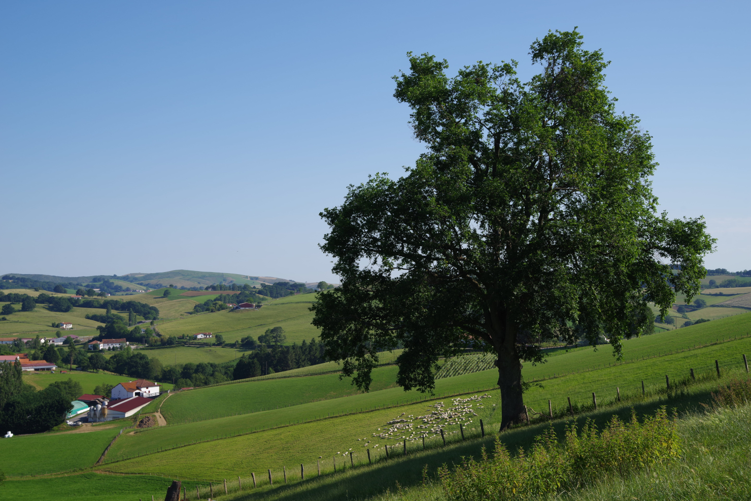 Papa T'Trail : trail et marche solidaire