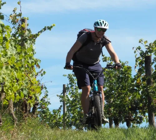 Rando à la ferme avec Trott'Iraty