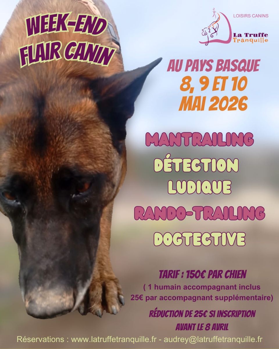 Week-end Flair canin