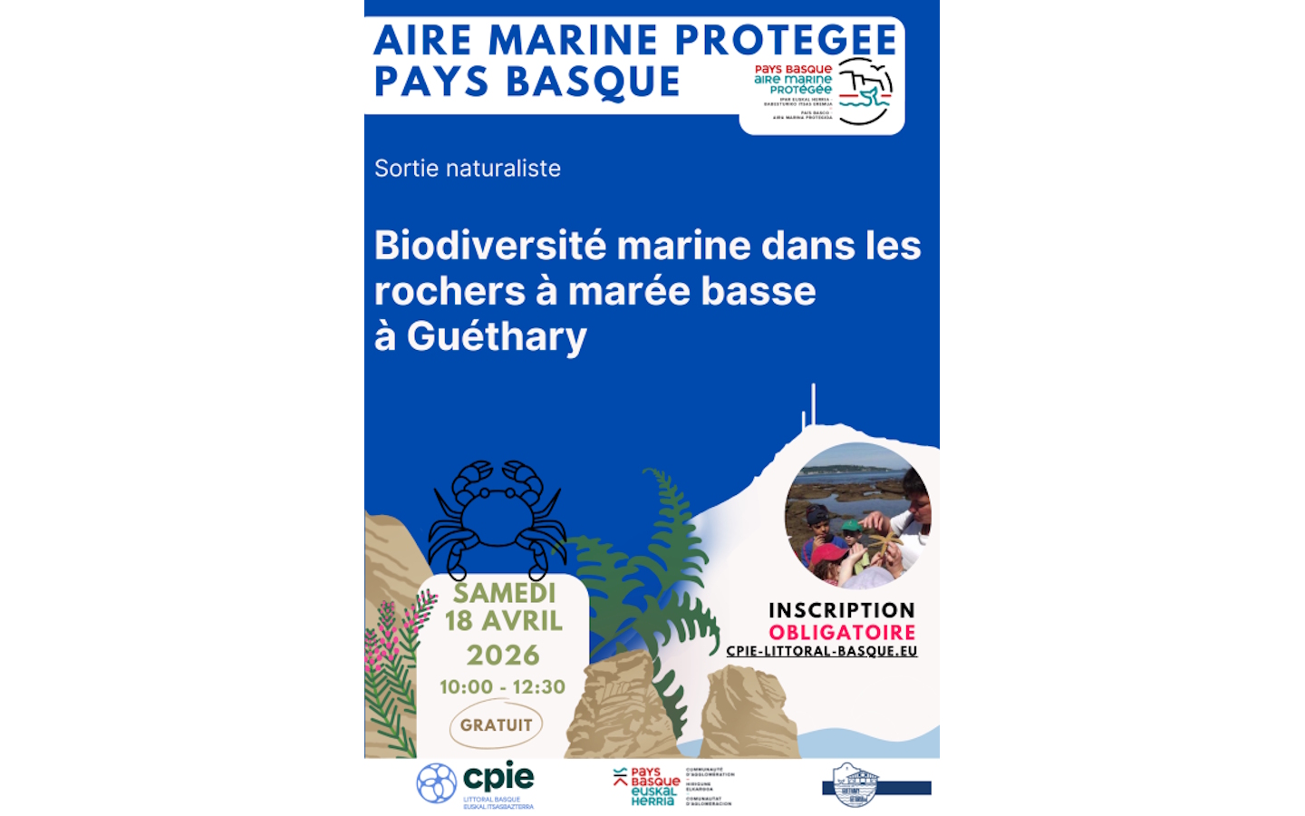 Sortie naturaliste : Biodiversité marine dans  ...