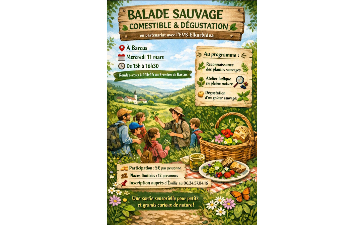 Balade sauvage, comestible et dégustation