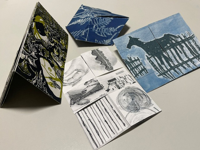 Livres d’artistes et Cie : Sans réserve !