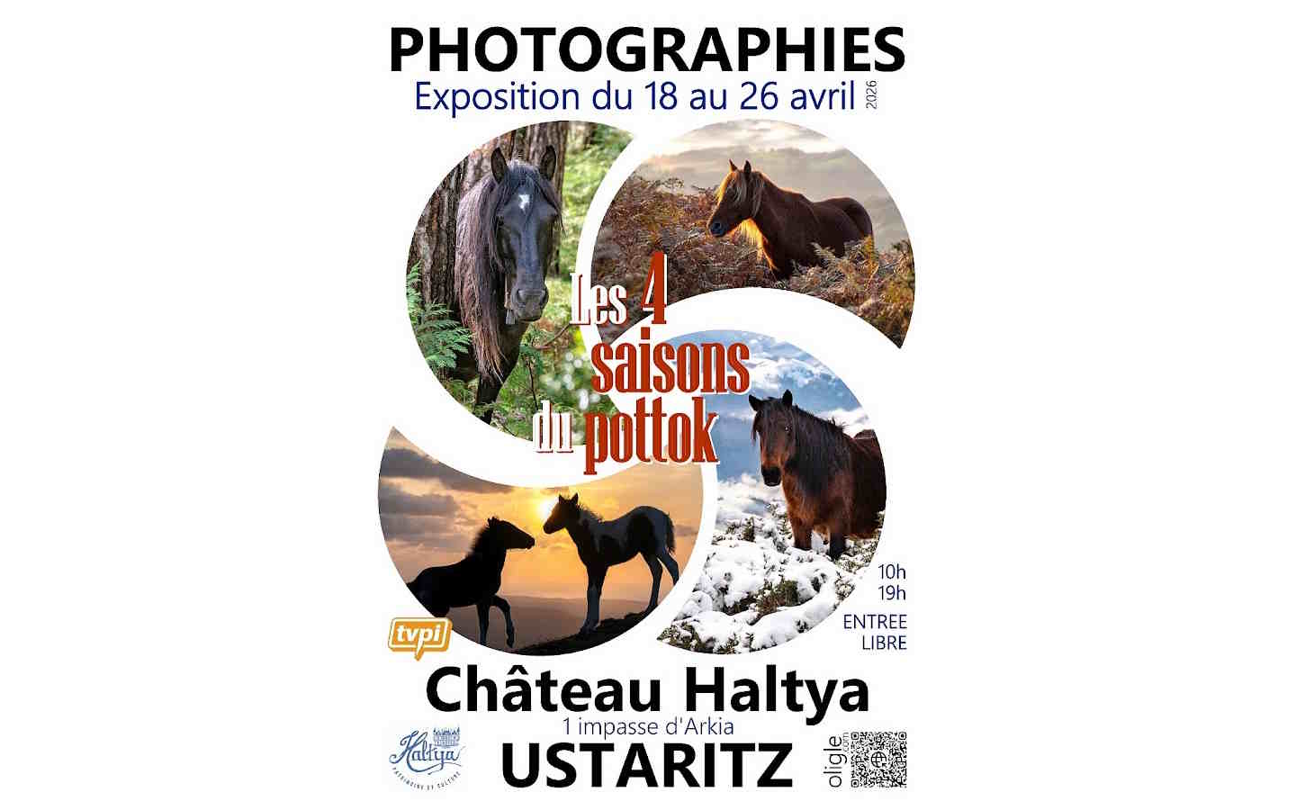 Exposition photos : Les 4 saisons du Pottok