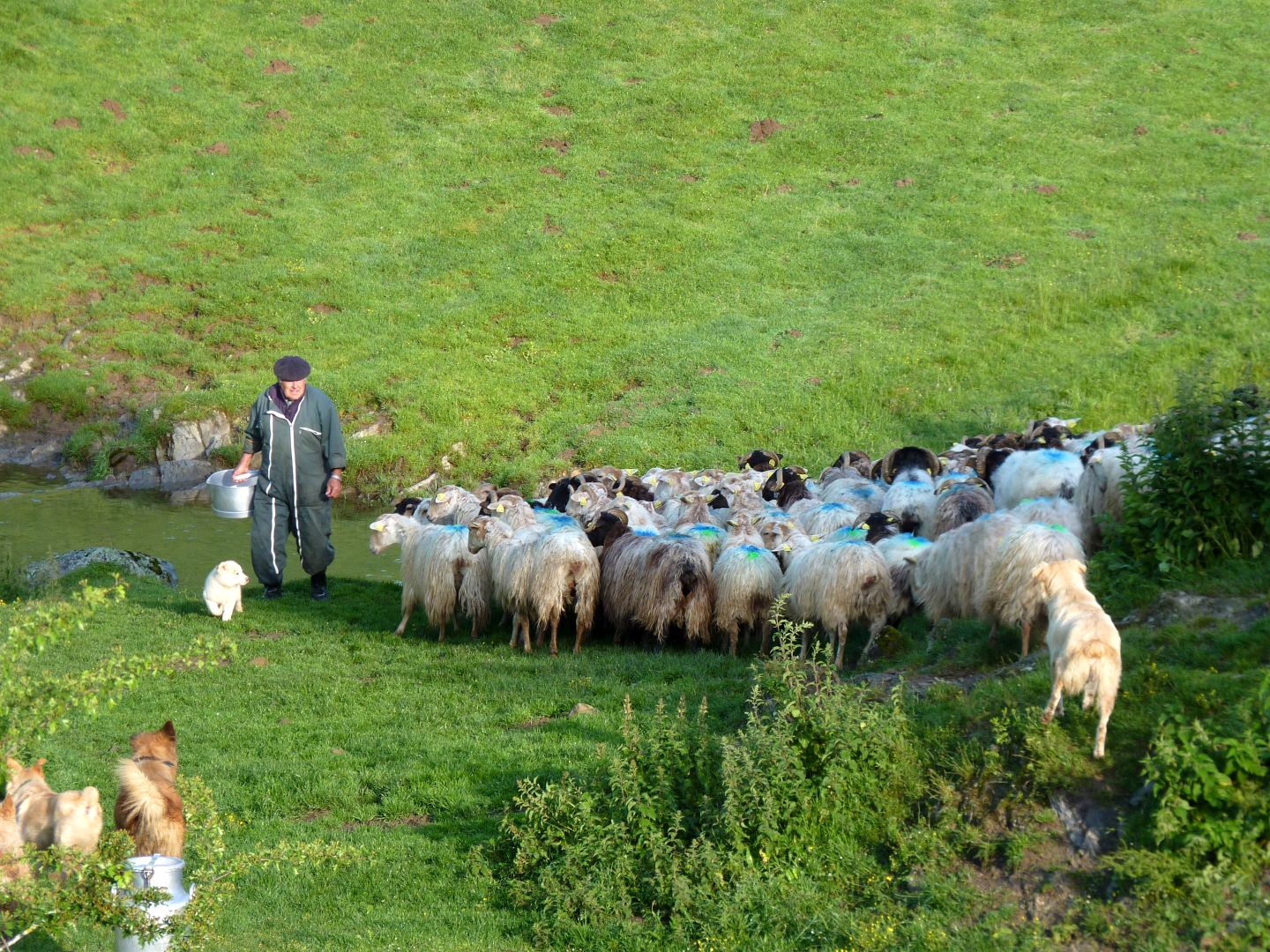 Randonnée acccompagnée Mendi Gaiak : rencontre ...