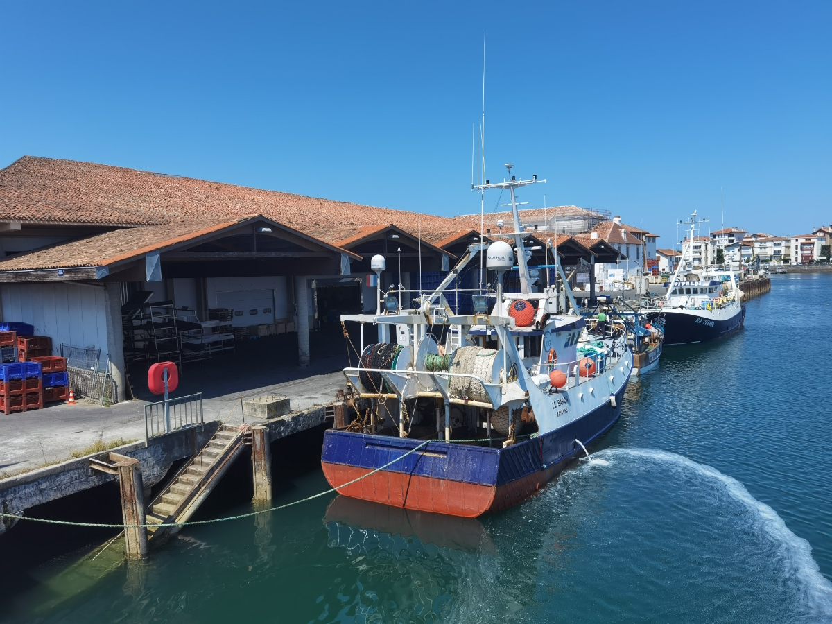 Visite Pays d’art et d’histoire : "Autour du p ...