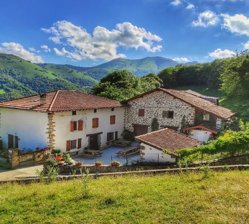Visite de la ferme Ametzalde (fromage de brebis Ossau Iraty, miel et charcuterie BIO). Sur réservation