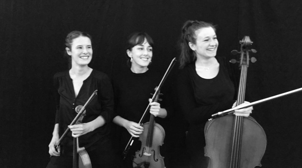 Animalia, concert du ... - Crédit: Lagunarte | CC BY-NC-ND 4.0