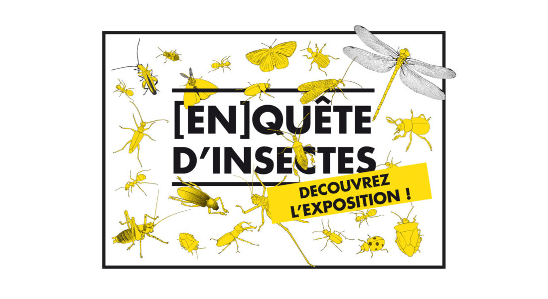 Visite animée de l'exposition "En[quête] d’ins ...