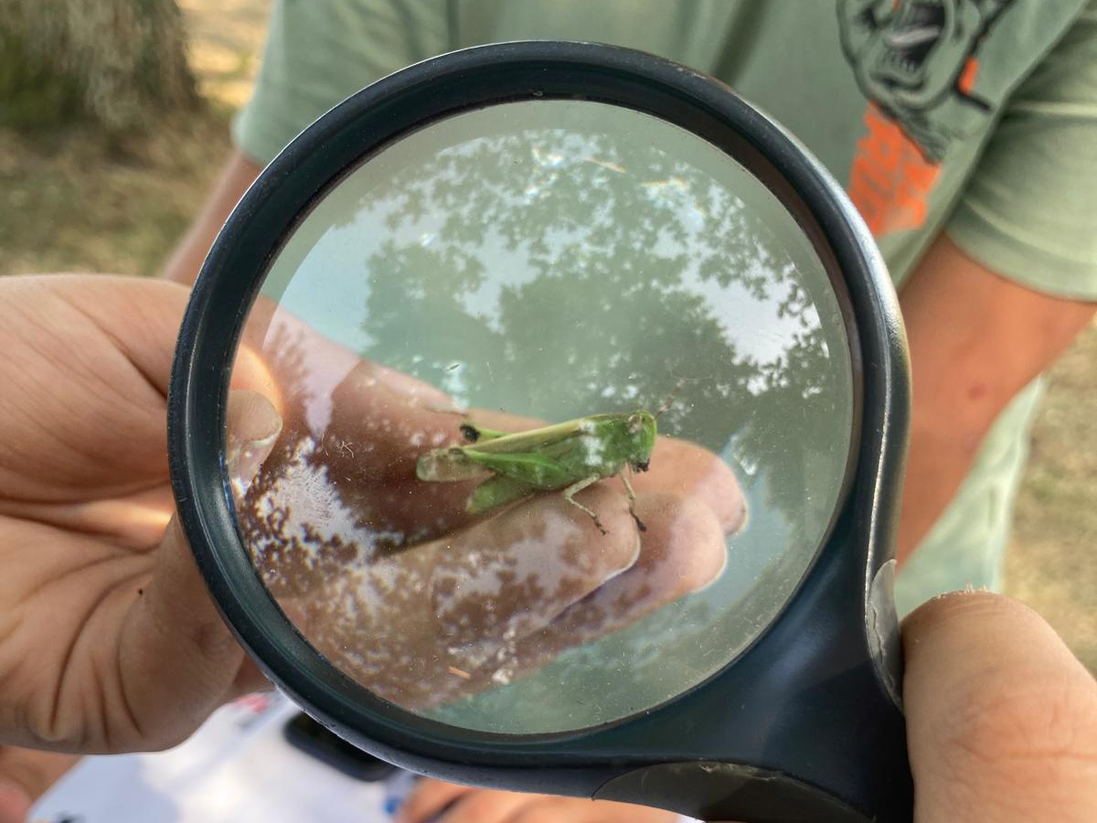 A la découverte des petites bêtes !