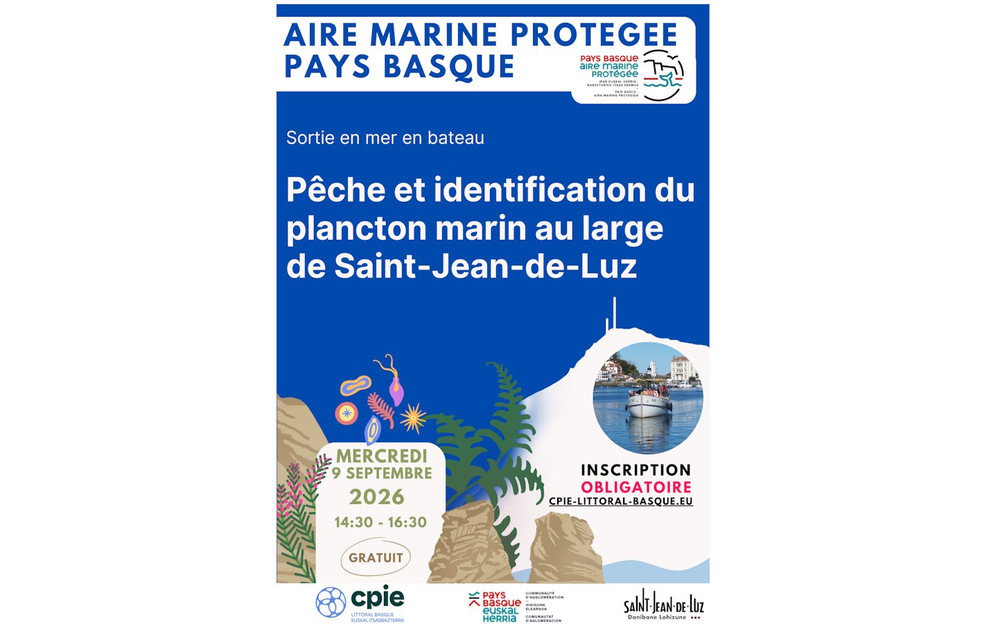 Aire Marine Protégée Pays Basque - Pêche et id ...