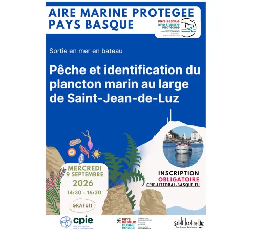 Aire Marine Protégée Pays Basque - Pêche et identification du plancton marin au large de Saint-Jean-de-Luz.