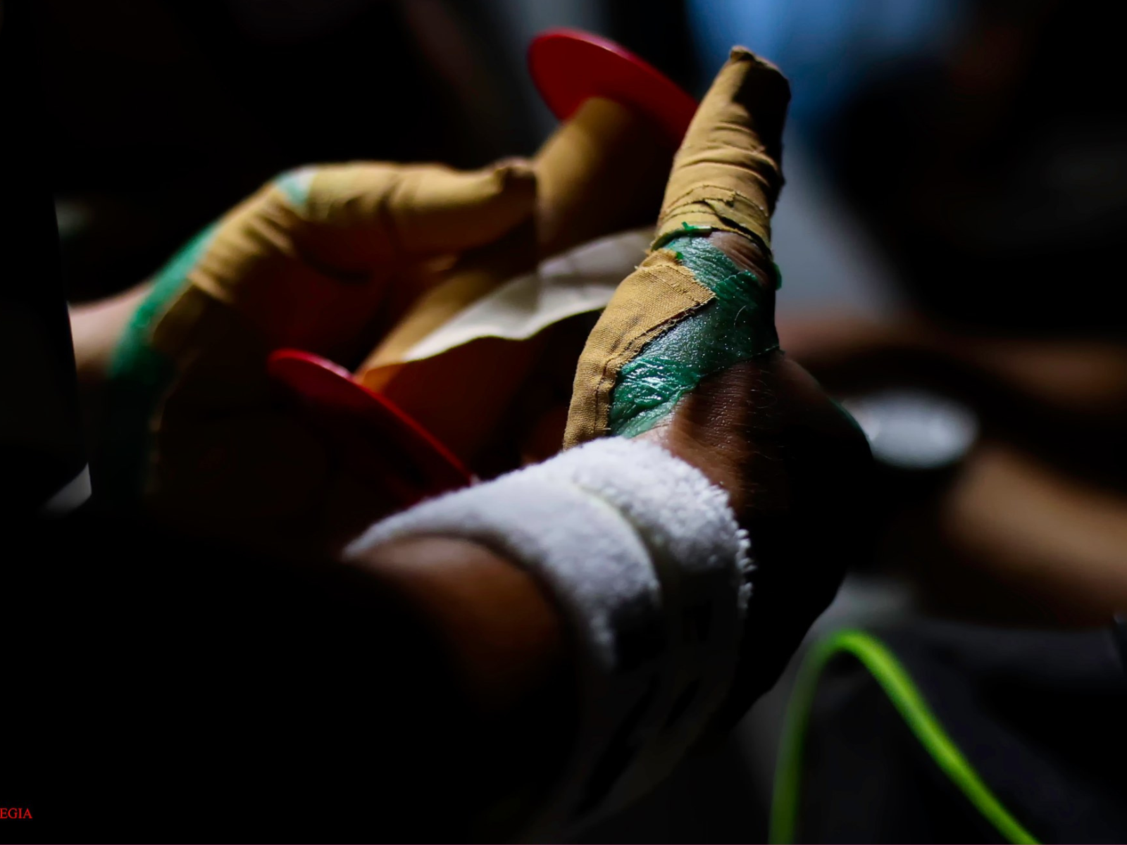 Championnat de France 2026 - Main Nue Professi ...