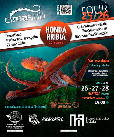 Cimasub Hondarribia