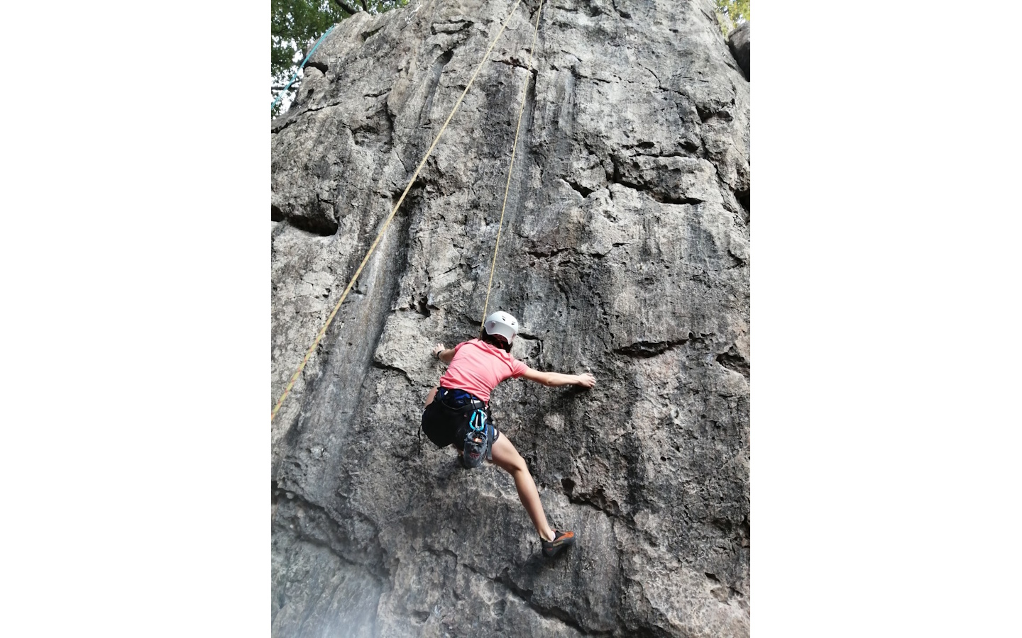 Initiation à l'escalade avec Zeharka