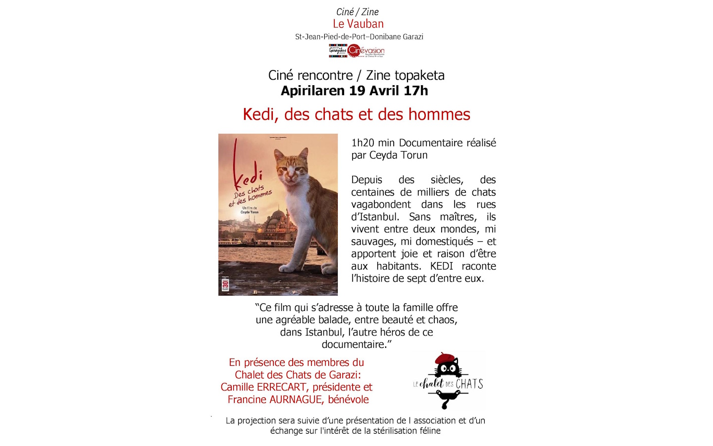 Ciné rencontre / Zine topaketa : Kedi, des cha ...