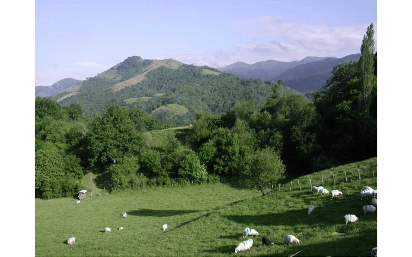 Bekat'uros : lectures et repas