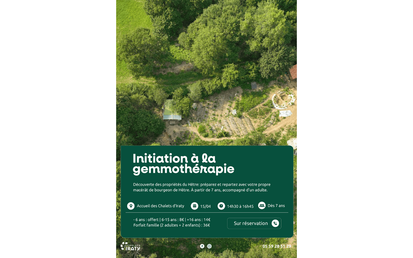 Initiation à la gemmothérapie