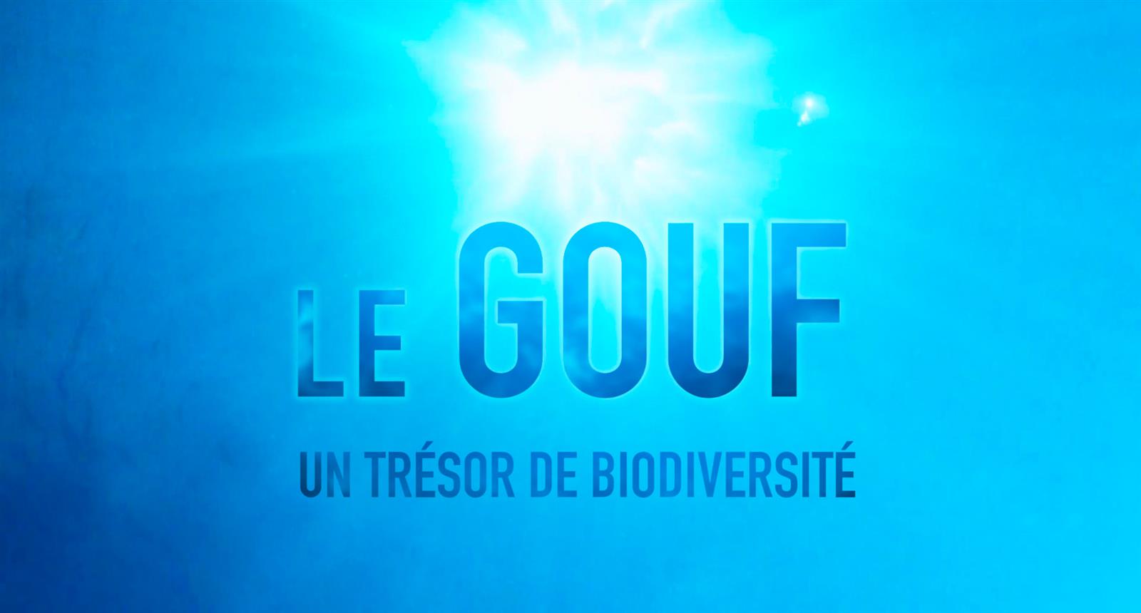 Diffusion du film documentaire "Le Gouf, un tr ...