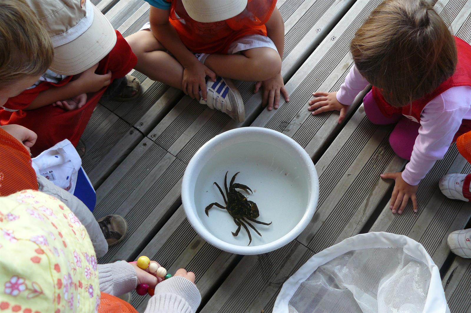 Rencontre biodiversité