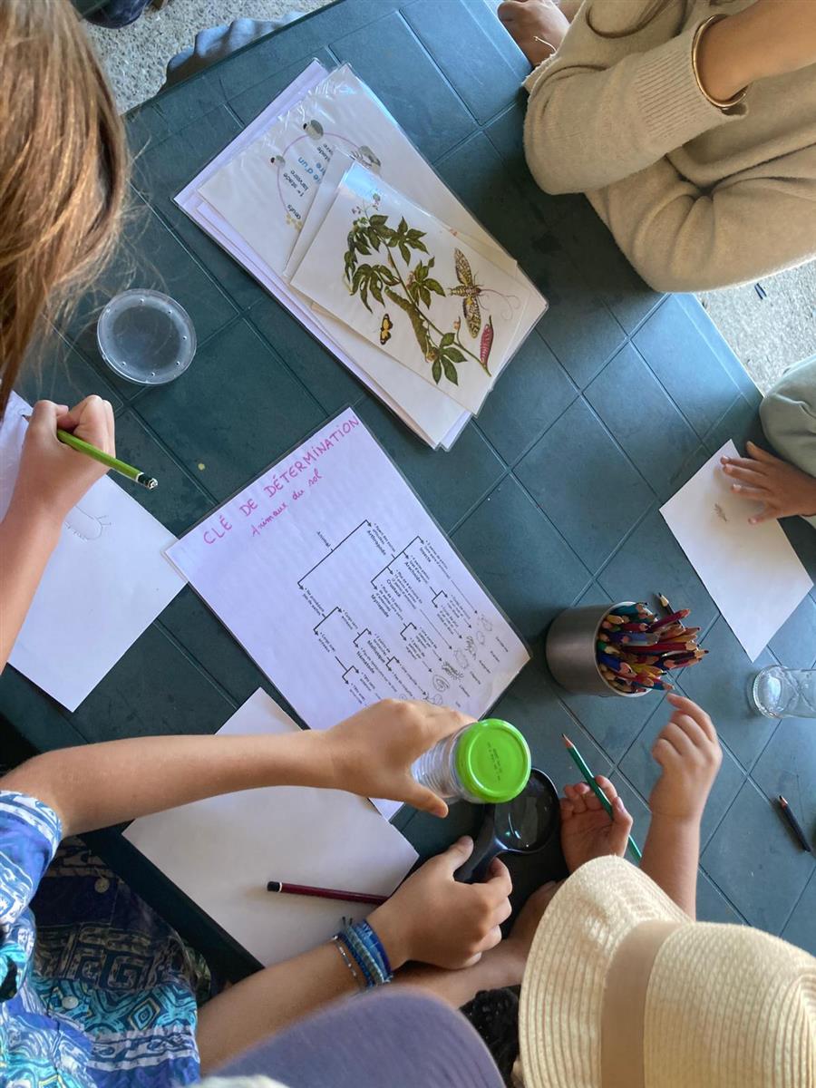 Atelier "En[quête] d’insectes"