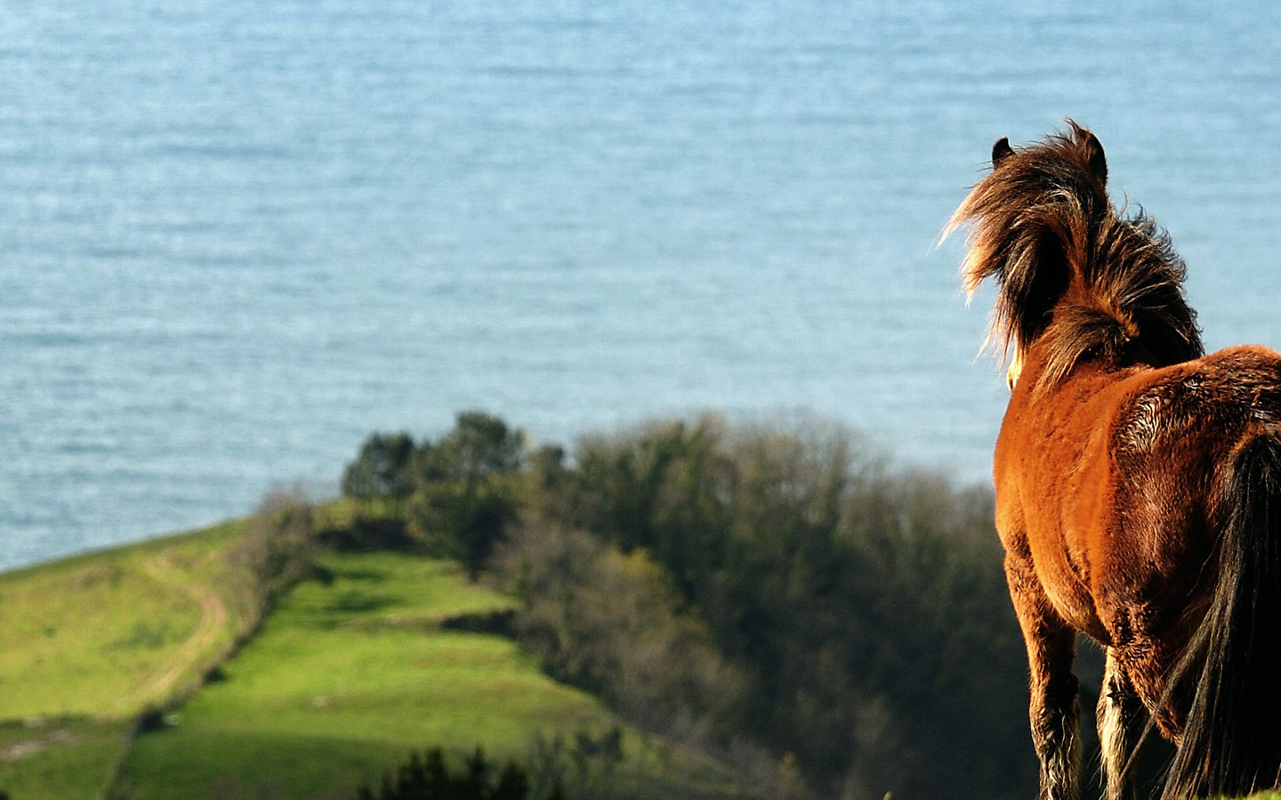 Randonnée accompagnée : A la découverte des po ...