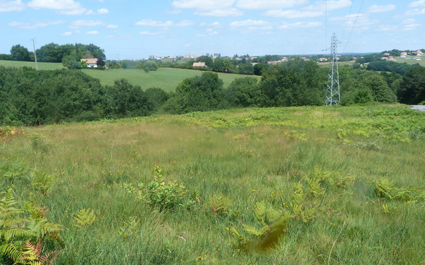 Sortie nature - à la découverte de l'Azuré des ...
