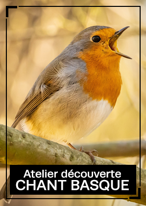 Atelier "chants basques"
