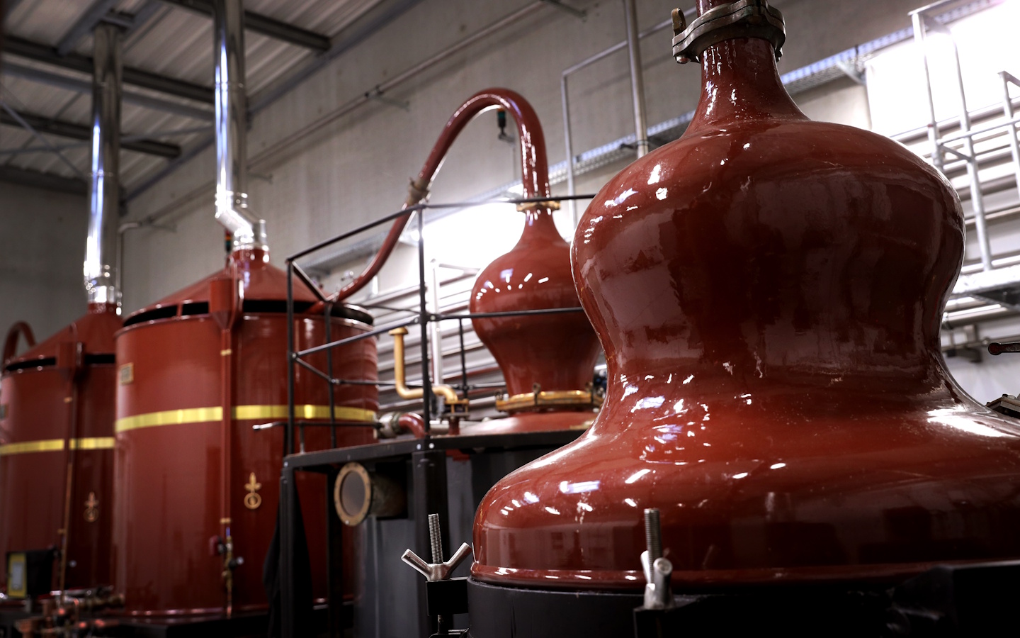 Visite de la Distillerie Brana et dégustation