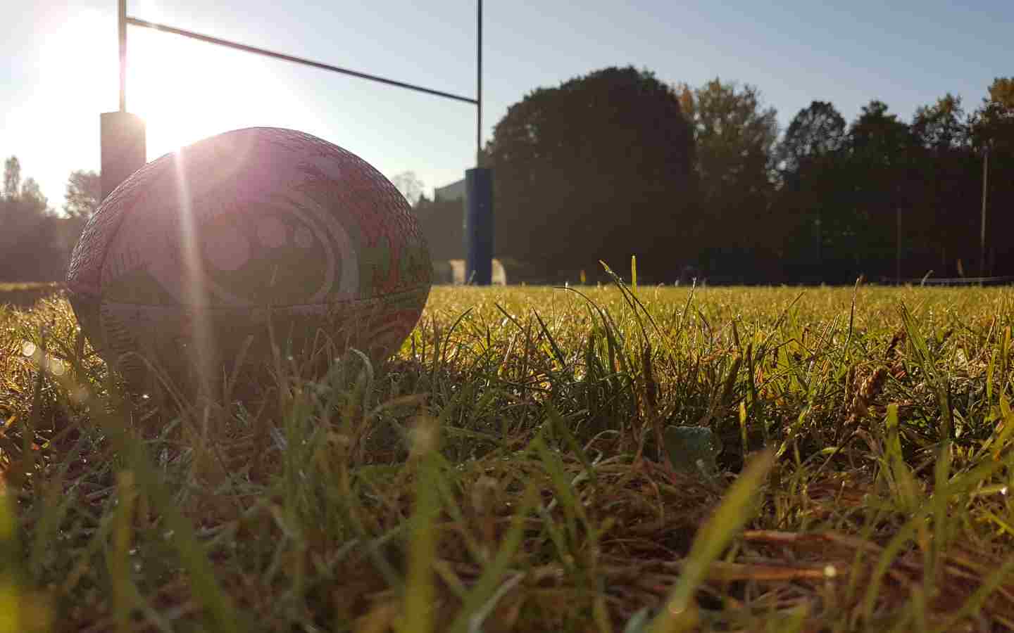 Tournoi de rugby Alzualde