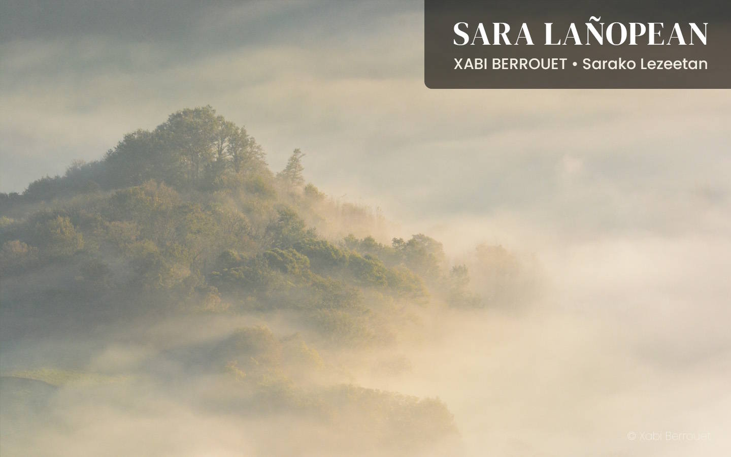 Exposition « Sara lañopean » de Xabi Berrouet