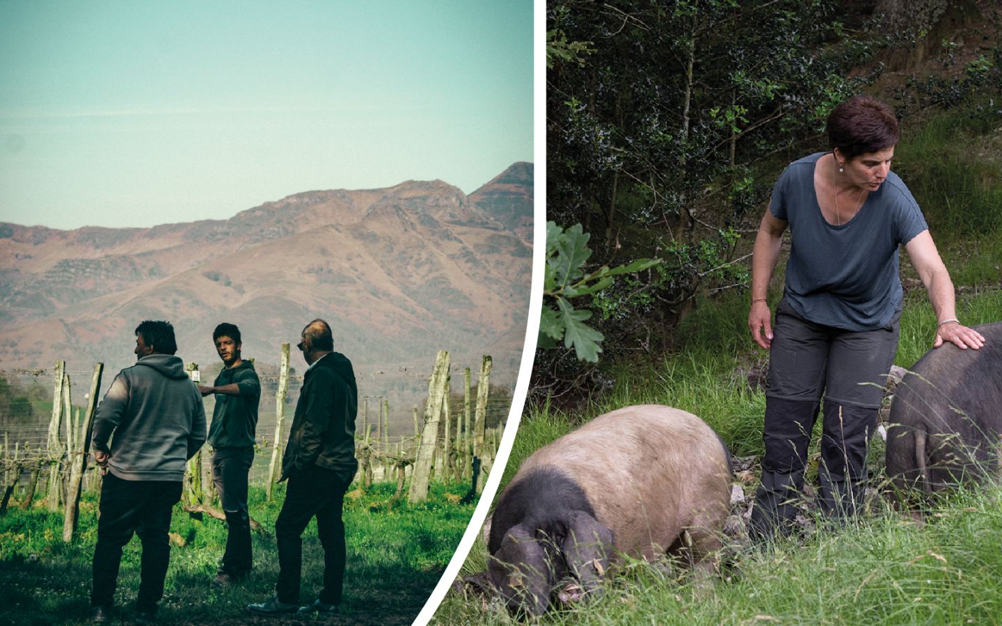 Immersion en territoir basque : Plongez au cœu ...