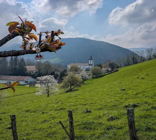 Randonnée sous les ailes du vautour fauve
